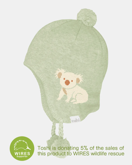 Toshi Organic Earmuff Storytime Koala