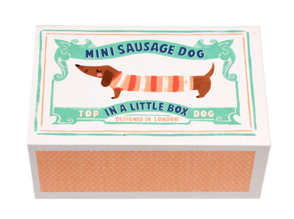 Rex London Mini Sausage Dog in a Box