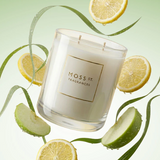 Moss St. Lrg Candle 300g - Lemongrass