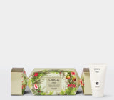 Circa Hand Cream BonBon Mango Papaya - X26