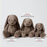 Mocha Bunny Small