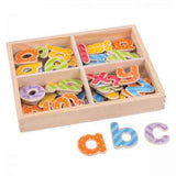 Bigjigs Toys- Magnetic Lowercase Letters